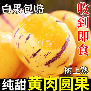 云南石林人参果10斤特大新鲜水果当季树上熟正宗黄肉黄心七彩娃娃