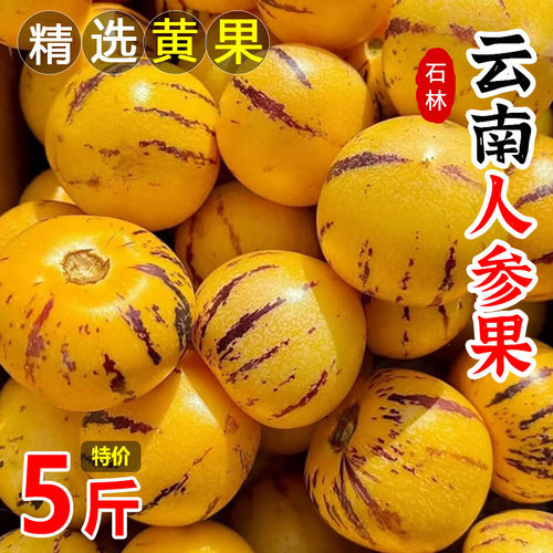 人参果新鲜云南石林人叁果圆果人生果娃娃果七彩黄肉水果整箱包邮