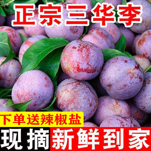 正宗红心三华李现摘5斤李子新鲜水果农家三月整箱大包邮顺丰现货3