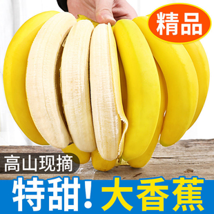 正宗广西高山香蕉甜糯香浓青皮香蕉9斤装整箱绿皮甜蕉banana水果