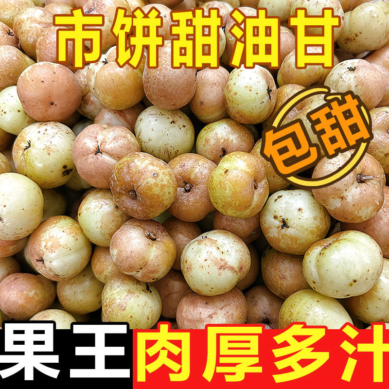 潮汕油柑果新鲜崩坎油甘果余甘子牛甘果滇橄榄甜种柿饼甜油柑现摘