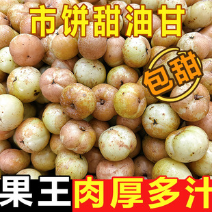 潮汕油柑果新鲜崩坎油甘果余甘子牛甘果滇橄榄甜种柿饼甜油柑现摘