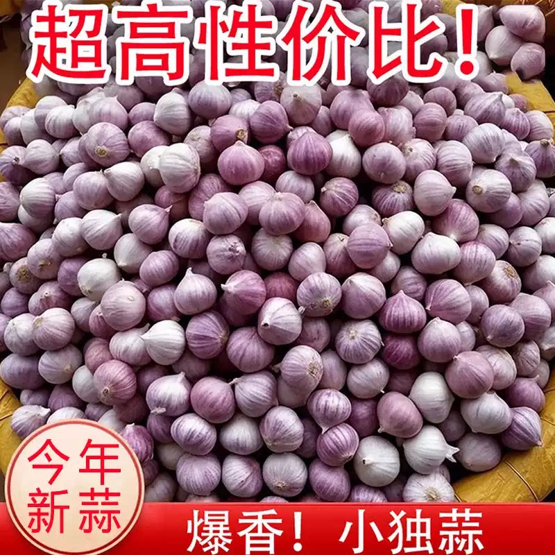 云南独头蒜大果独蒜头鲜蒜头新大蒜当季独蒜头农家精品特大果包邮