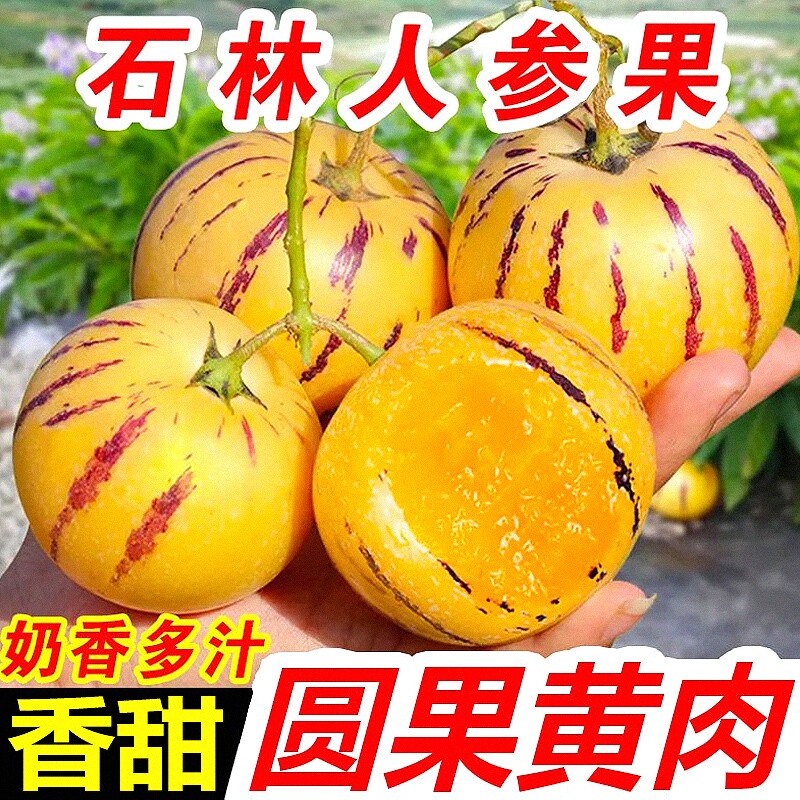 云南石林人参果10新鲜应当季水果七彩整箱人心斤人叁黄肉人生包邮