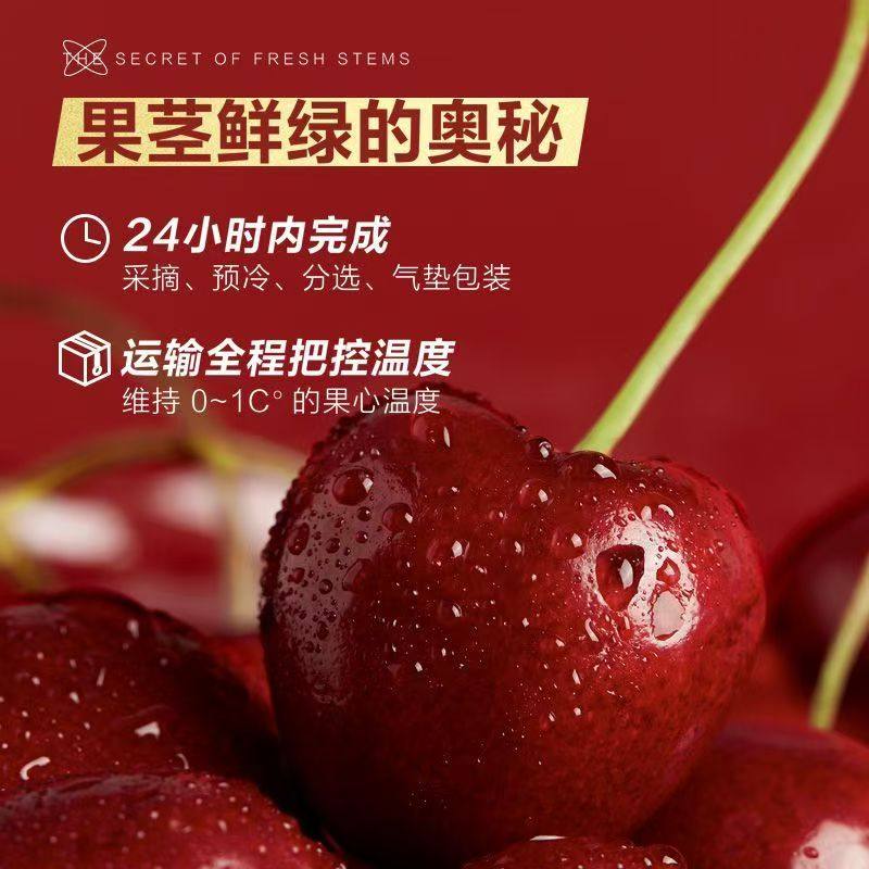 【现货原箱】欢乐果园智利进口车厘子桑提娜5斤J2J3J4J大樱桃礼盒,零食/坚果/特产,传统糖果,淘宝优惠券,粉丝福利购,淘宝优惠卷