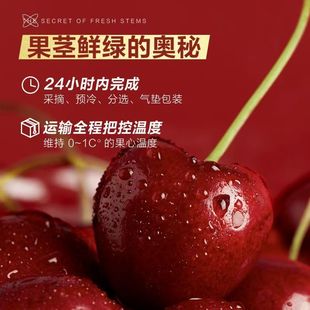 【现货原箱】欢乐果园智利进口车厘子桑提娜5斤J2J3J4J大樱桃礼盒
