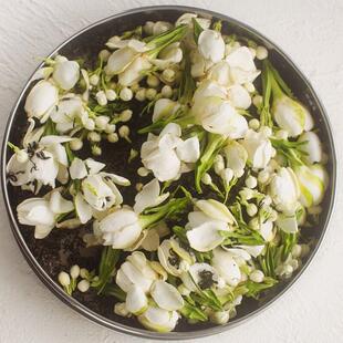 又一个镇店之宝限量香到晕栀子花茶茉莉花茶叶绿茶分层窨制