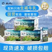 1月产3箱褐牛纯牛奶206g 10我从伊犁来新疆纯牛奶整箱早餐