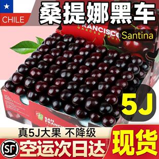 【顺丰送货上门】智利桑提娜进口车厘子新鲜水果大樱桃当季黑珍珠