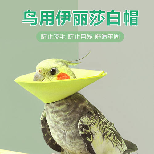 玄凤鹦鹉伊丽莎白圈受伤保护项圈虎皮牡丹防啄毛鸟用防啃咬毛脖套