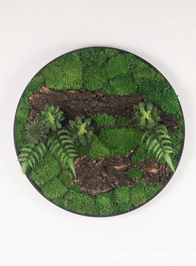 极速仿真植物装饰盆景仿真苔藓壁挂新中式挂饰墙面T装饰样板房客