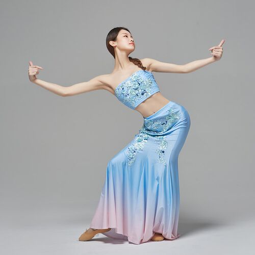 新品傣族舞蹈演出服女学生考试艺考鱼尾I舞裙成人考级练习练功表