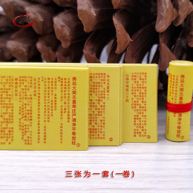 极速佛学小型微缩经文佛说大乘y无量寿庄严清净平等觉经装藏佛塔