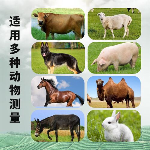 新品兽用bB超机羊牛用b超测孕仪器猪用b超机畜牧b超机高清便携检