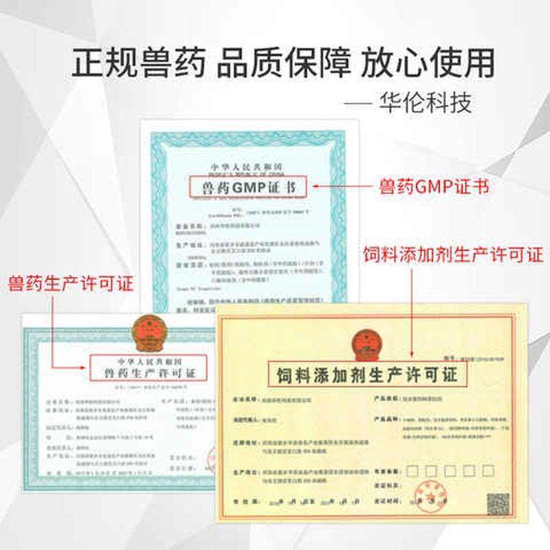 新品黄芪多糖粉兽用原料猪牛羊鸡鸭禽用H黄氏抗病毒增强免疫饲料