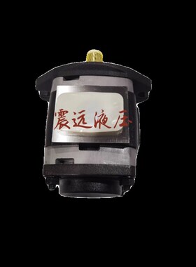 液压齿轮泵IPV4-j13-101/16/20/25/32-101/171/-101柱塞泵油泵