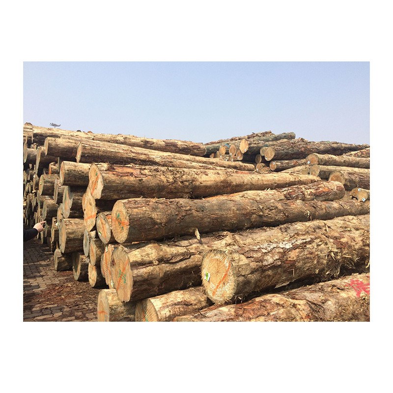 澳松松木桩河道护岸防汛松木桩工地打X桩木澳松实木