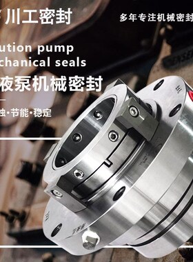 机械密封厂家 6/8LRnB(I)604/8LRB(I)55A40ZTL-I-A17 沉降