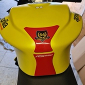 660 Tuono 摩托车机车V 油箱贴 适用于 鱼骨 阿普利亚