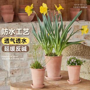 陶盆花盆陶瓷红陶盆陶土透气自吸水家用阳台客厅多肉绿植盆景专用