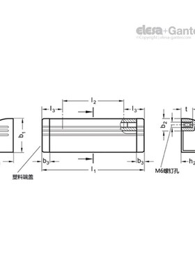 Elesa+Gganter伊莉莎冈特 GN 430 安全防护手柄