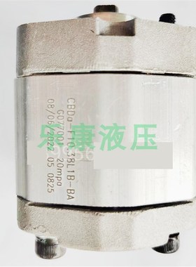 微型齿轮泵 SDH齿轮泵 润滑泵u CBDa-F10.25L1B-BA 液压机油泵