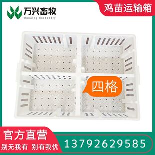 鸡苗筐雏鸡运输筐小鸡苗箩筐鸡雏筐厂家