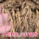 藏地野生党参特级中药材干货整根切片甘肃当归黄芪路上党炖汤无硫