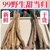 藏地99野生甜当归干货中药材片正品 整根好过云南岷县土当归身无硫