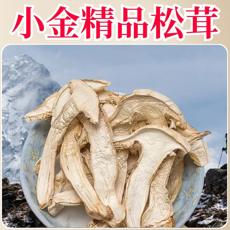 藏域高雪山野生松茸干片小金好过东北长白山云南雅江黑干货白冻干