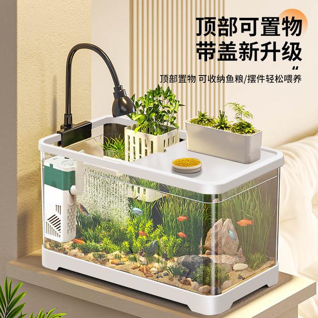 阔庭鱼缸小型客厅新款造景生态缸过滤鱼缸造景制氧一体机底滤氧气