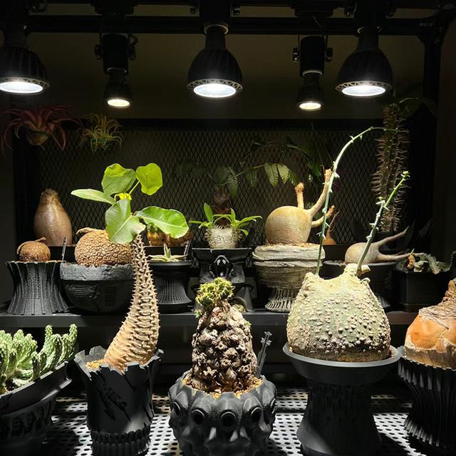 光联天下30W全光谱植物生长灯块根绿植补光灯泡鱼缸爆藻灯自然光