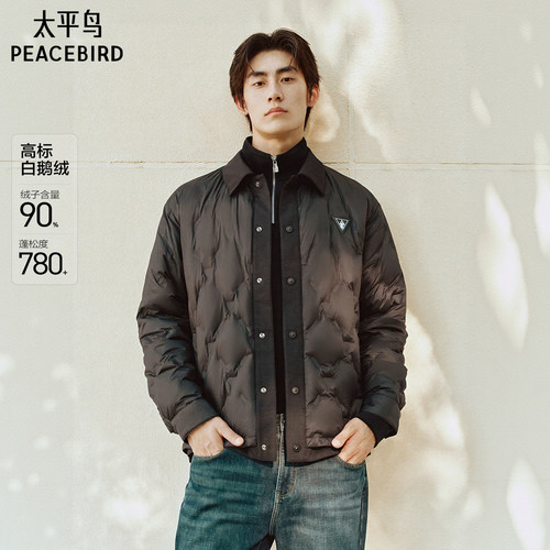 【商场同款】太平鸟男装 鹅绒羽绒服25年冬季新款防寒服B1ACF4293