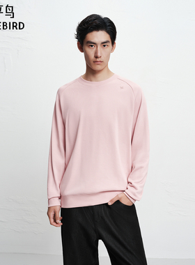【商场同款】太平鸟男装 2025年冬季新款圆领套头卫衣B1CRF4434