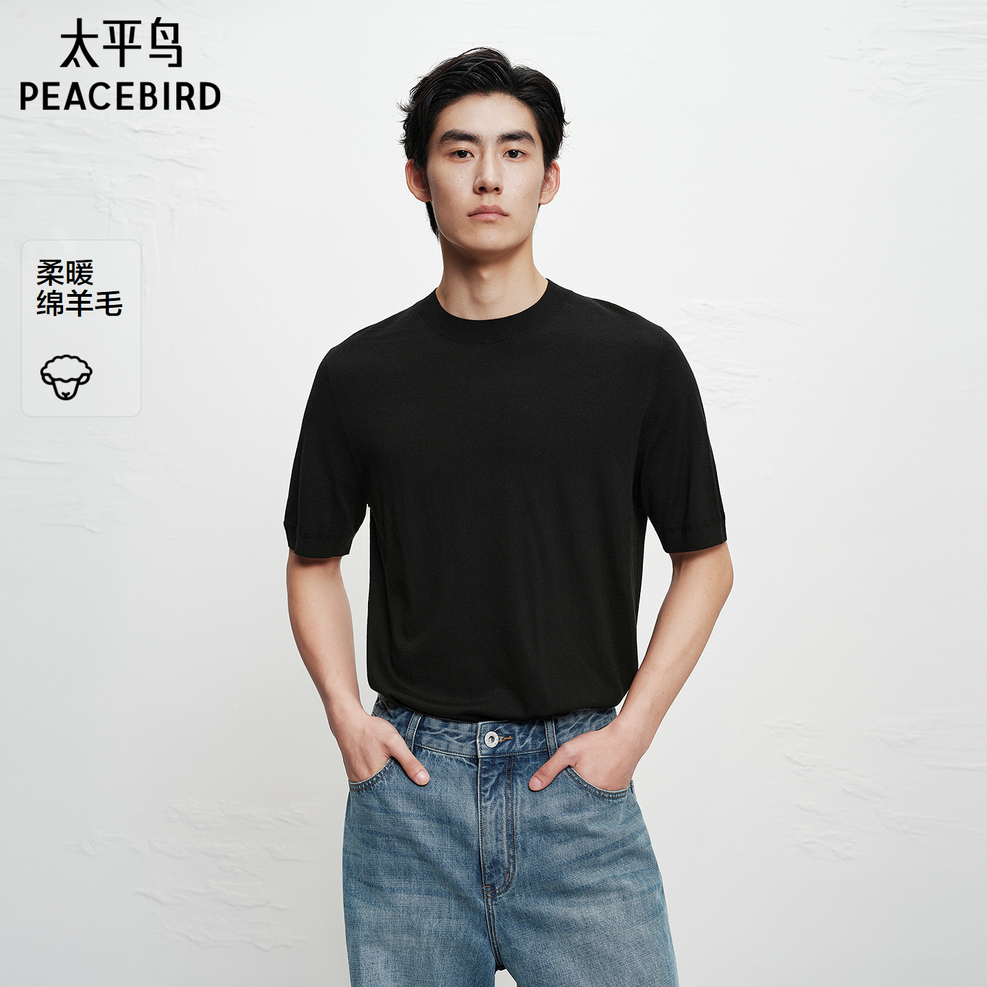 【商场同款】太平鸟男装羊毛短袖T恤冬针织内搭通勤上衣B1EEF4B25