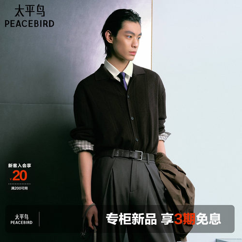 【商场同款】太平鸟男装 布朗假日2026年秋季新款针织衫B1EDG3338