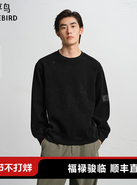 【商场同款】太平鸟男装 2025年冬季新款黑色圆领卫衣B2CRF4515