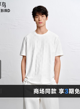 【商场同款】太平鸟男装 2026年夏季新款提花短袖T恤男B1CNG2170