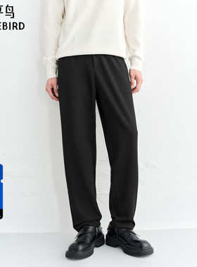 【商场同款】太平鸟男装 2025年冬季新款肌理感休闲裤B1GBF4287