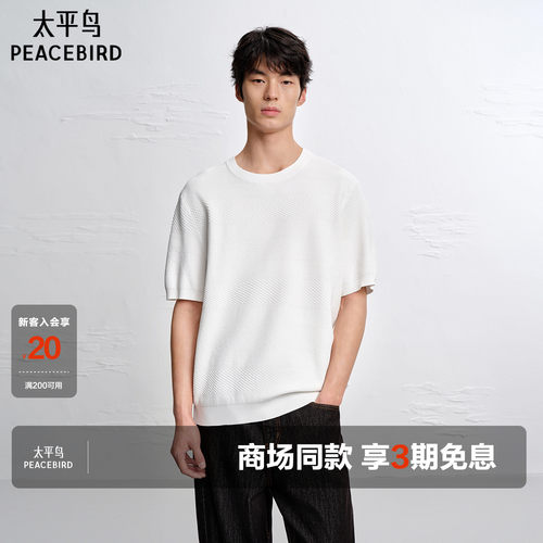 【商场同款】太平鸟男装肌理感针织T恤2026新款圆领短袖B1EEG2178