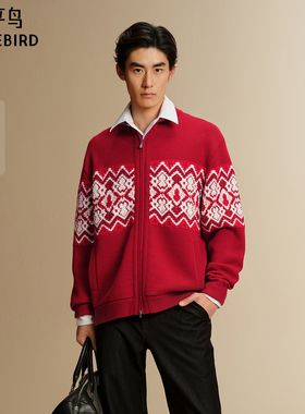 【商场同款】太平鸟男装 2026年新年毛衣男潮流开衫毛衫B2EAG1128