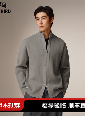 【商场同款】太平鸟男装 休闲毛衫竖条肌理休闲宽松毛衣B1EAF4421