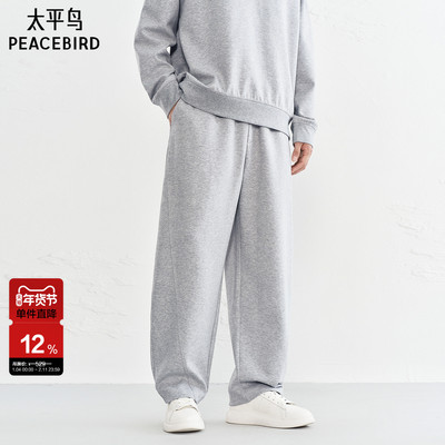 【商场同款】太平鸟男装直筒休闲裤冬新款宽松潮流卫裤B1GMF440G