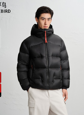 【AIRxPEACE】太平鸟男装排骨面包服连帽防寒鹅绒羽绒服B2ACF4484