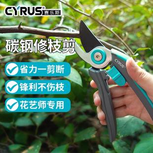 园艺剪刀剪树枝修剪植物SK5盆栽花艺修枝剪雪柳花园修花家用花剪