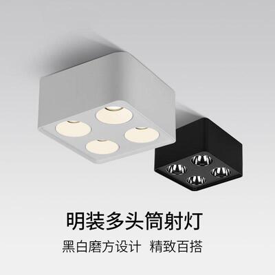 明装射灯筒灯极简吸顶灯具无主灯斗胆灯深杯防眩单头双头三头四头