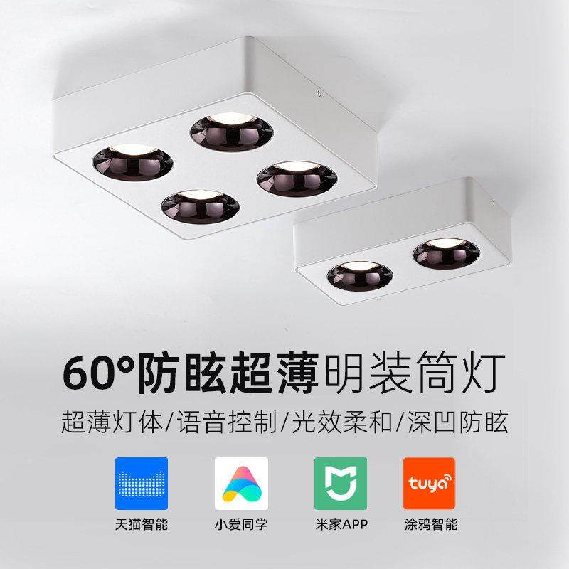 卧室射灯极简客厅无主灯明装筒灯智能吸顶单头双头四头斗胆灯方形,家装灯饰光源,明装射灯,淘宝优惠券,粉丝福利购,淘宝优惠卷