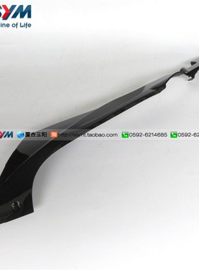 SYM 厦杏 三阳机车l XS125T-17 GR125 豪华 高手 左边条 边轨 侧