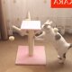猫架猫爬架带窝猫窝猫树猫抓板磨爪器猫抓柱耐磨猫咪玩Z具宠物用