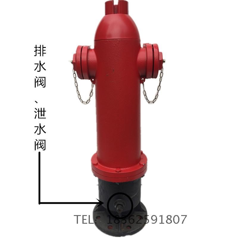 浙江龙威aSS150-80消防栓SS100-65地上式室外消火栓取水栓